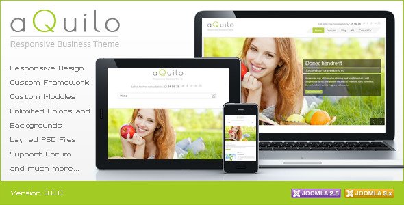 aQuilo Joomla Template