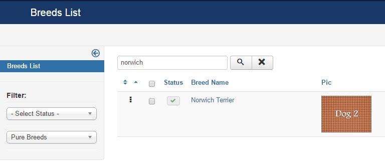 Implementing search feature and filters functionality at backend